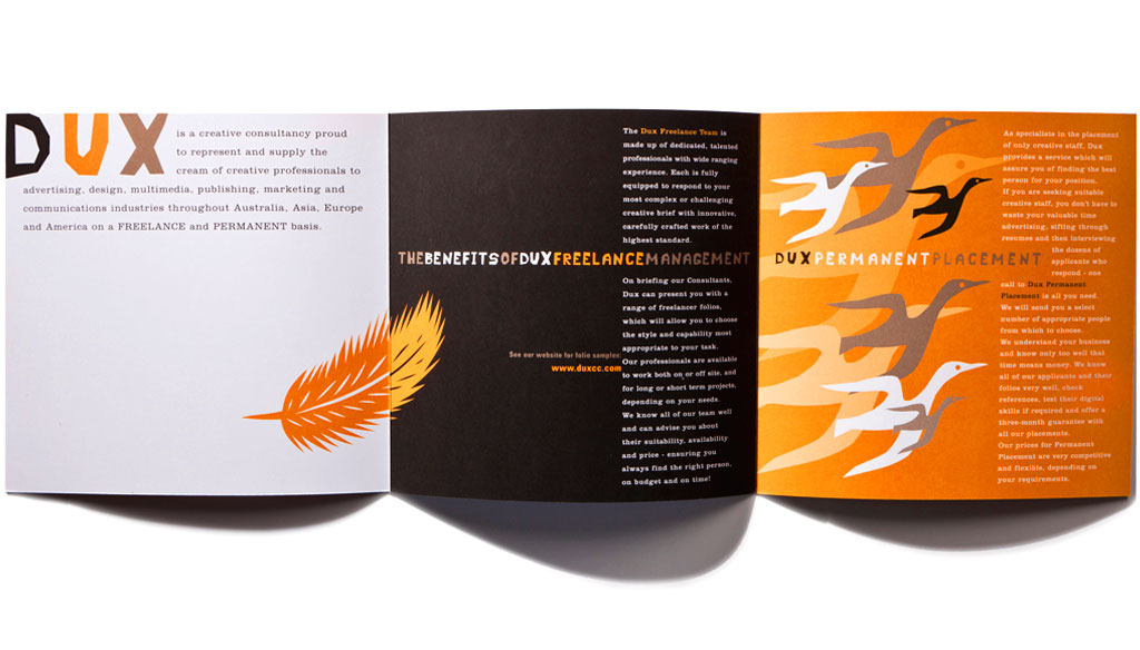 Mightyworld Dux print branding brochure design
